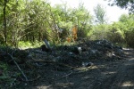 15.09.2012 - Illegális szemétlerakó eltávolítása a Csiliz-patak medréből