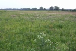 31.07.2013 - Mowing of wet meadows near Čiližská Radvaň