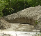 hniezda stena pre rybáriky riečne pri napúšťacom kanáli mokrade v Dobrohošti