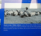 Historický záber pastvy na území dnešného národného parku Neusiedler See - Seewinkel